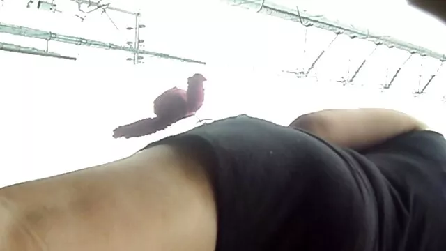 Virginy Adel-kibaszott a szűk seggem (2017)) anyamat baszom